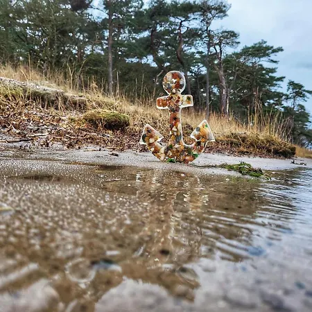 Apartman Moin & Ahoi *