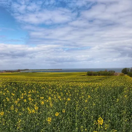 Moin & Ahoi * Boiensdorf